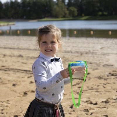 Caja de Estudio de Insectos L